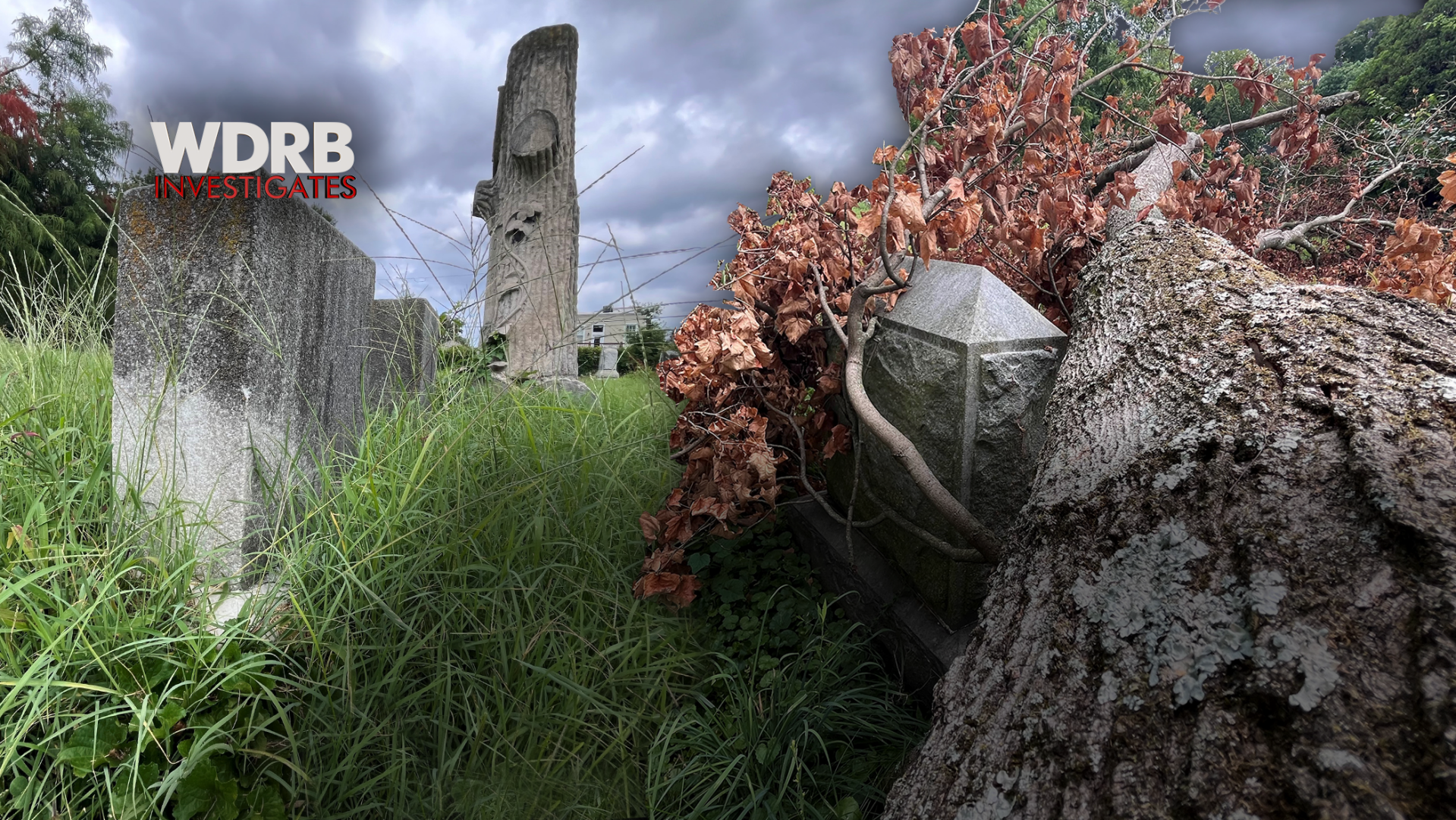 Downed tree at Eastern Cemetery